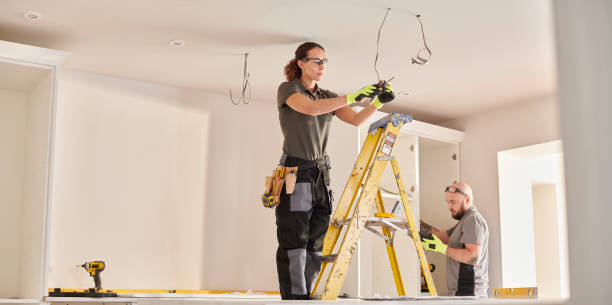 Best Electric Panel Repair  in Crosby, TX